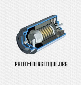 Paleo Energetique